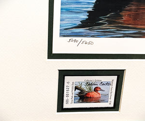Calvin Carter - 2014 Texas Waterfowl Duck Stamp Print With Double Stamps - Brand New Custom Sporting Frame