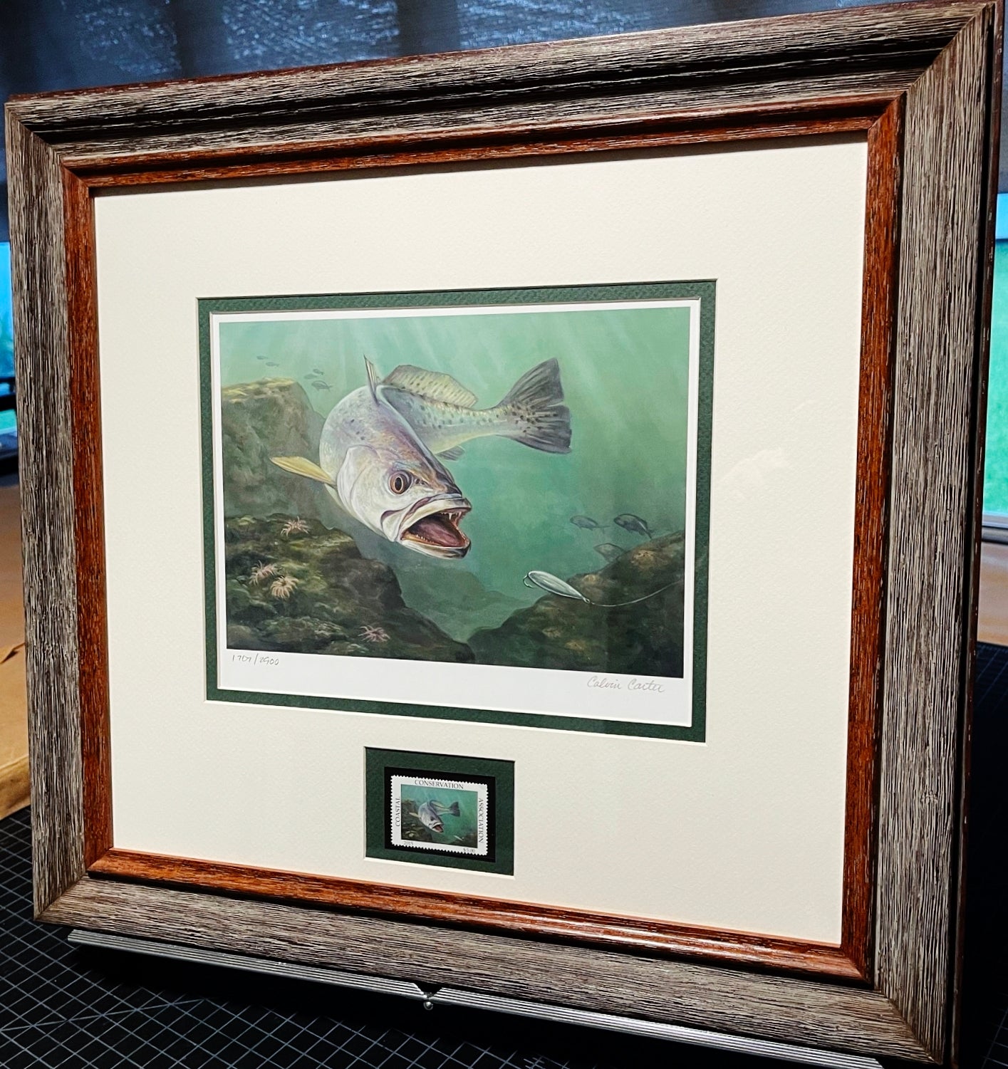 Calvin Carter 2015 CCA Coastal Conservation Association Stamp Print With Stamp - Brand New Custom Sporting Frame
