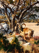 Load image into Gallery viewer, Chance Yarbrough Auodad&#39;s GiClee FS Artist Proof Exotic Goat Mint - Un-Framed