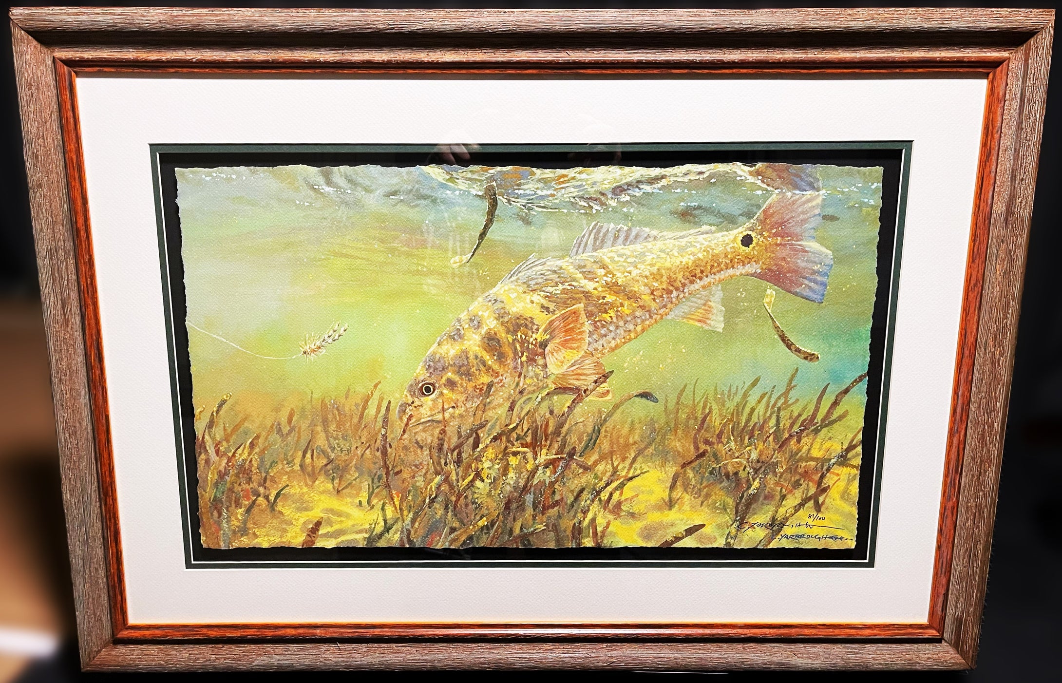 Chance Yarbrough Single Tailing Red GiClee Half Sheet - Tailing Redfish - Brand New Custom Sporting Frame