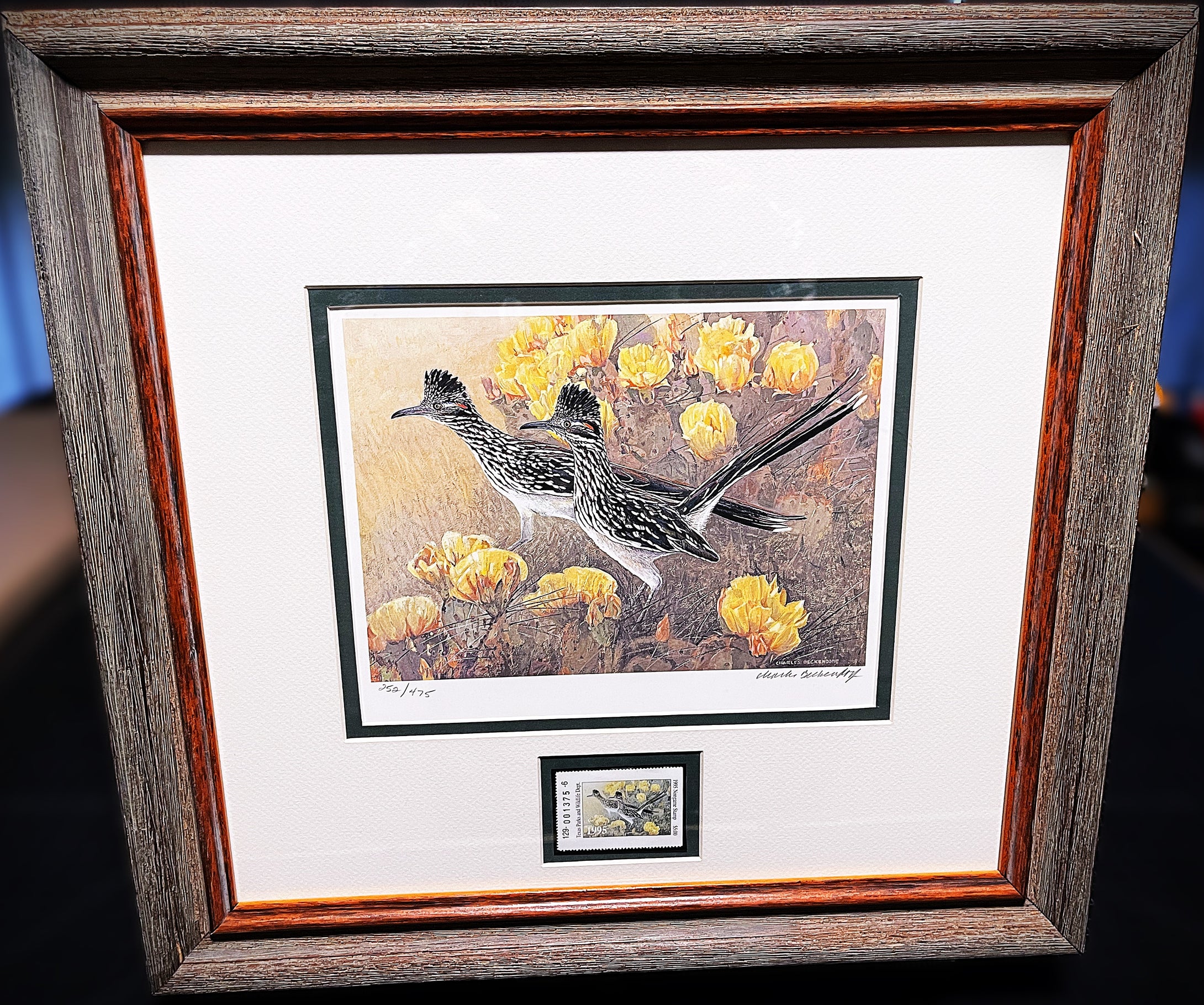 Charles Beckendorf 1995 Texas Non-Game Stamp Print With Stamp - Brand New Super Custom Sporting Frame