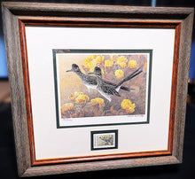Load image into Gallery viewer, Charles Beckendorf 1995 Texas Non-Game Stamp Print With Stamp - Brand New Super Custom Sporting Frame