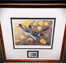 Load image into Gallery viewer, Charles Beckendorf 1995 Texas Non-Game Stamp Print With Stamp - Brand New Super Custom Sporting Frame