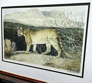 Charles Beckendorf - 1980 Texas Mountain Lion - Lithograph Print - Brand New Custom Sporting Frame