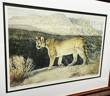 Load image into Gallery viewer, Charles Beckendorf - 1980 Texas Mountain Lion - Lithograph Print - Brand New Custom Sporting Frame