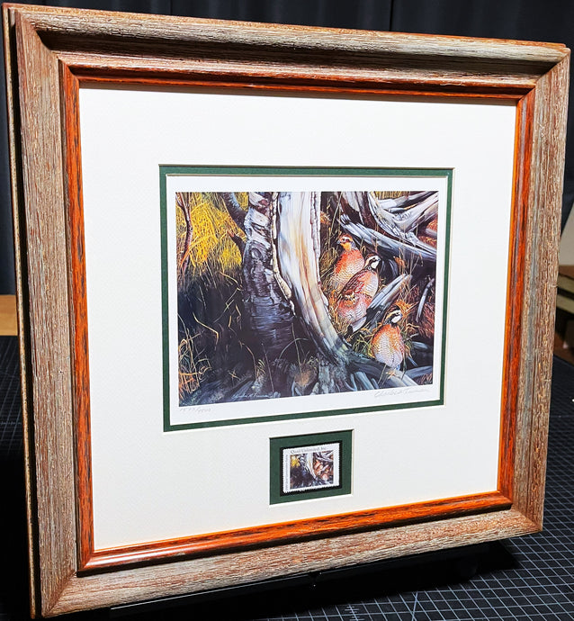 Charles McKay Freeman 2000 Quail Unlimited Stamp Print With Stamp - Brand New Super Custom Sporting Frame