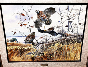 Clay McGaughy Quail In Flight Original Water Color Painting Full Sheet - Brand New Super Custom Sporting Frame