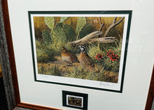 Load image into Gallery viewer, David Drinkard - 1995 Texas Quail Stamp Print With Stamp - Brand New Custom Sporting Frame