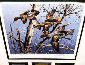 David Maass 1983 Arkansas Duck Stamp Print Special Series Gold Medallion With Double Stamps - Brand New Super Custom Sporting New Frame