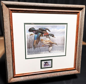 David Maass - 1984 Texas Waterfowl Duck Stamp Print With Stamp - Brand New Custom Sporting Frame