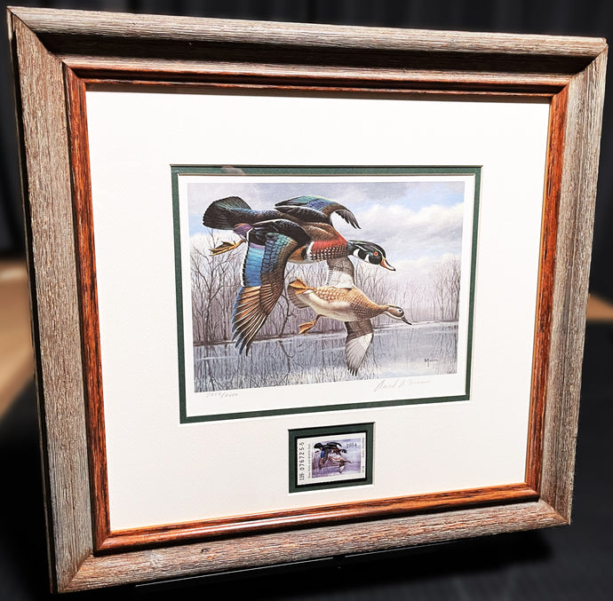 David Maass 1984 Texas Waterfowl Duck Stamp Print With Stamp - Brand New Custom Sporting Frame