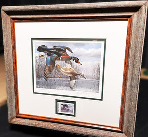 David Maass 1984 Texas Waterfowl Duck Stamp Print With Stamp - Brand New Super Custom Sporting Frame