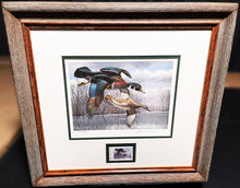 Load image into Gallery viewer, David Maass - 1984 Texas Waterfowl Duck Stamp Print With Stamp - Brand New Custom Sporting Frame