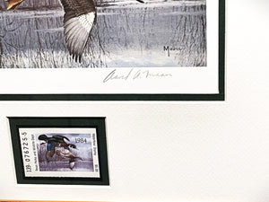 David Maass - 1984 Texas Waterfowl Duck Stamp Print With Stamp - Brand New Custom Sporting Frame