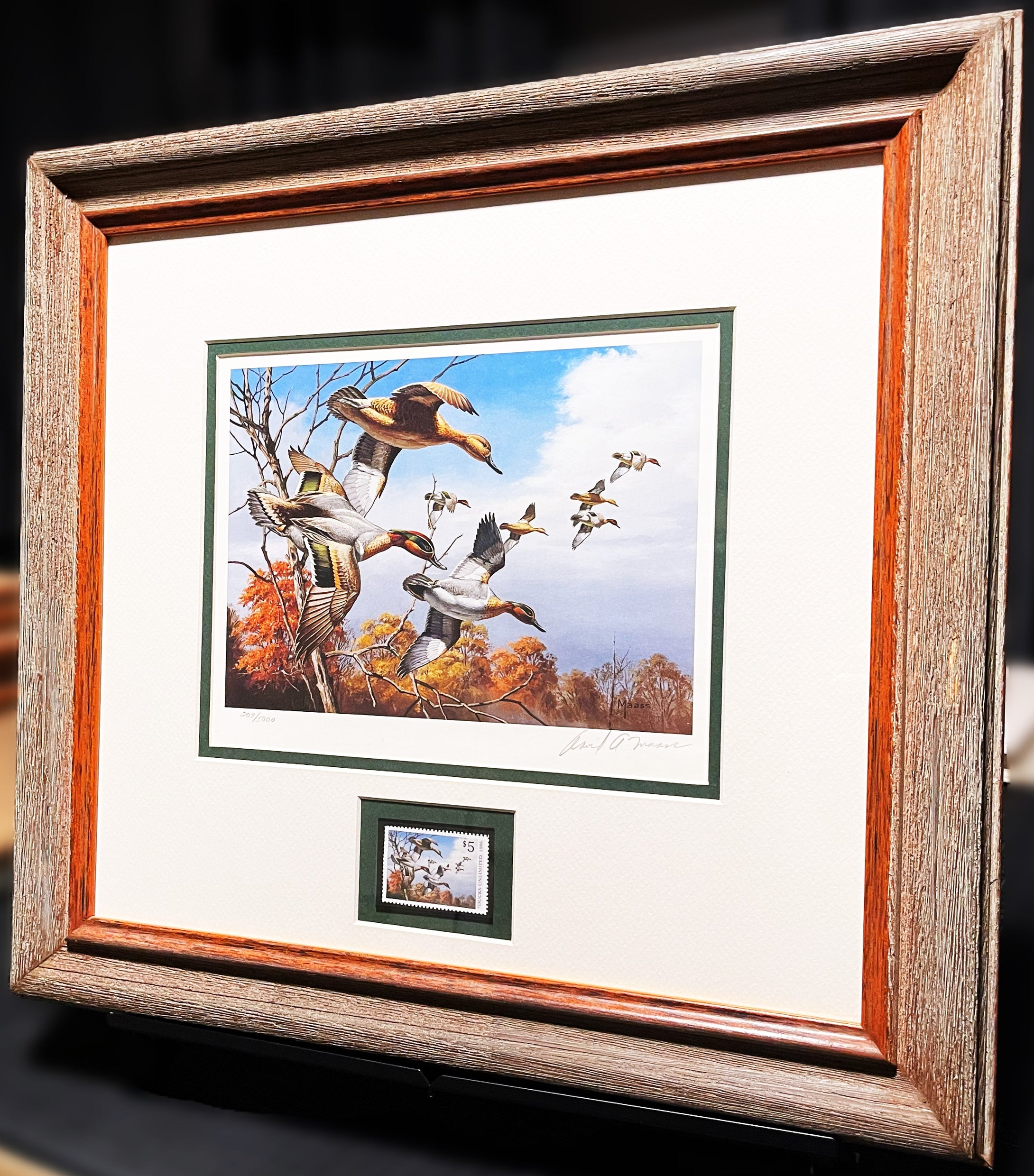 David Maass 1986 Ducks Unlimited Stamp Print With Stamp - Brand New Super Custom Sporting Frame