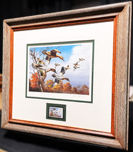 Load image into Gallery viewer, David Maass 1986 Ducks Unlimited Stamp Print With Stamp - Brand New Super Custom Sporting Frame