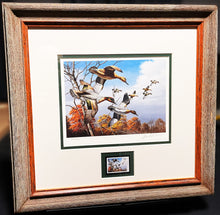 Load image into Gallery viewer, David Maass 1986 Ducks Unlimited Stamp Print With Stamp - Brand New Super Custom Sporting Frame