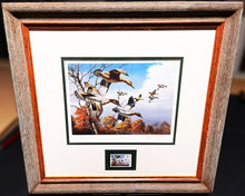 Load image into Gallery viewer, David Maass 1986 Ducks Unlimited Stamp Print With Stamp - Brand New Super Custom Sporting Frame