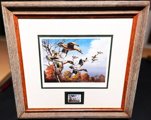 David Maass 1986 Ducks Unlimited Stamp Print With Stamp - Brand New Super Custom Sporting Frame