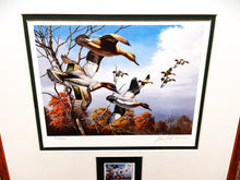 Load image into Gallery viewer, David Maass 1986 Ducks Unlimited Stamp Print With Stamp - Brand New Super Custom Sporting Frame