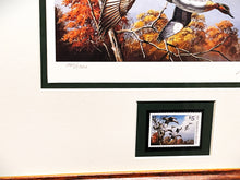 Load image into Gallery viewer, David Maass 1986 Ducks Unlimited Stamp Print With Stamp - Brand New Super Custom Sporting Frame