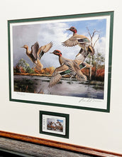 Load image into Gallery viewer, David Maass 2006 Texas Waterfowl Duck Stamp Print With Stamp - Brand New Custom Sporting Frame