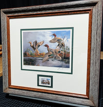 Load image into Gallery viewer, David Maass 2006 Texas Waterfowl Duck Stamp Print With Stamp - Brand New Custom Sporting Frame
