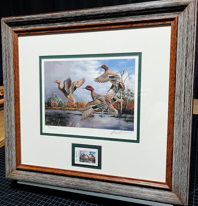 David Maass 2006 Texas Waterfowl Duck Stamp Print With Stamp - Brand New Custom Sporting Frame