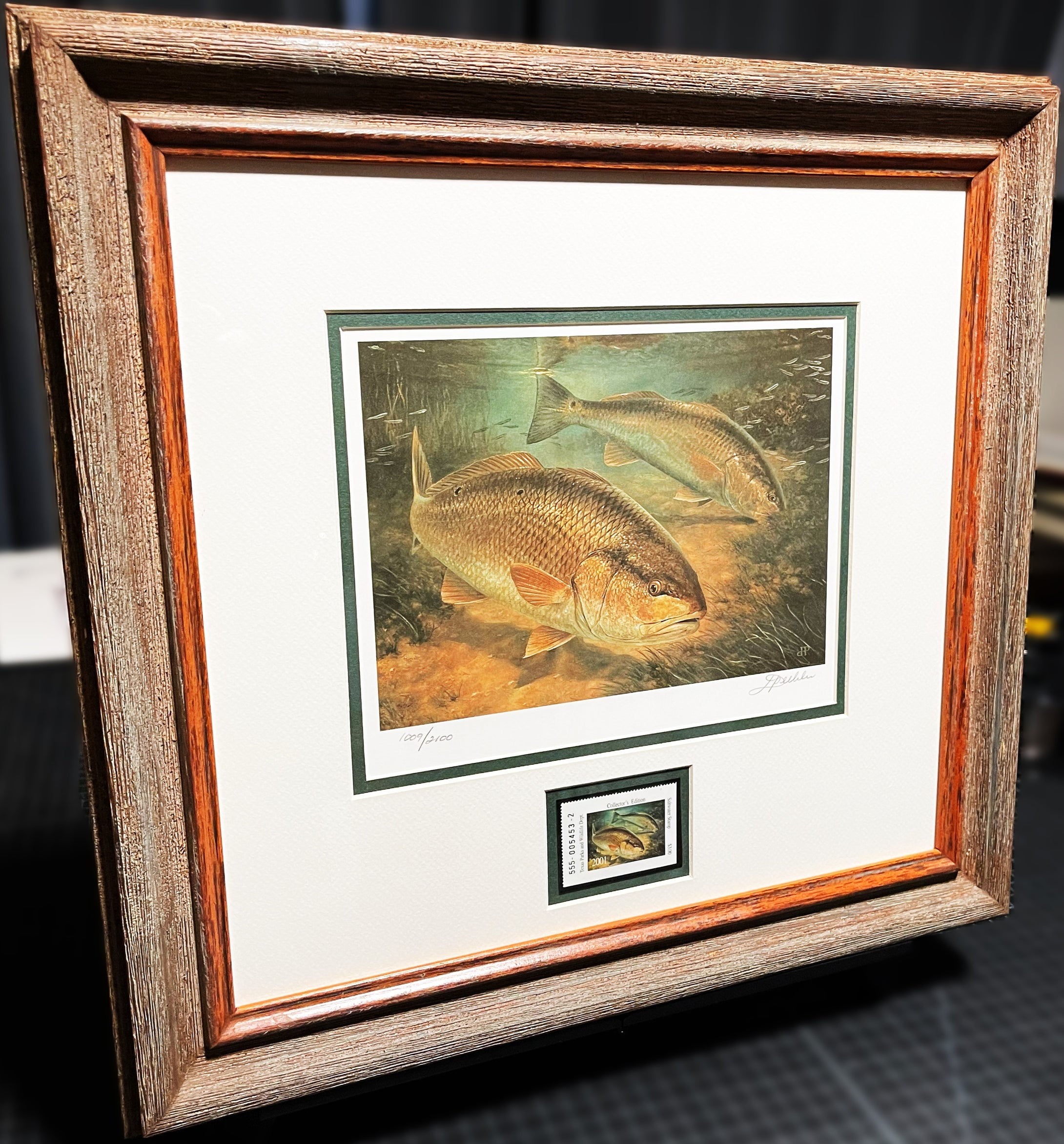Diane Rome Peebles 2001 Texas State Saltwater Fishing Stamp Print With Stamp - Brand New Custom Sporting Frame