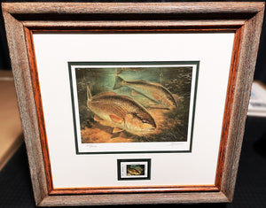 Diane Rome Peebles 2001 Texas State Saltwater Fishing Stamp Print With Stamp - Brand New Custom Sporting Frame