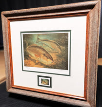Load image into Gallery viewer, Diane Rome Peebles 2001 Texas State Saltwater Fishing Stamp Print With Stamp - Brand New Super Custom Sporting Frame