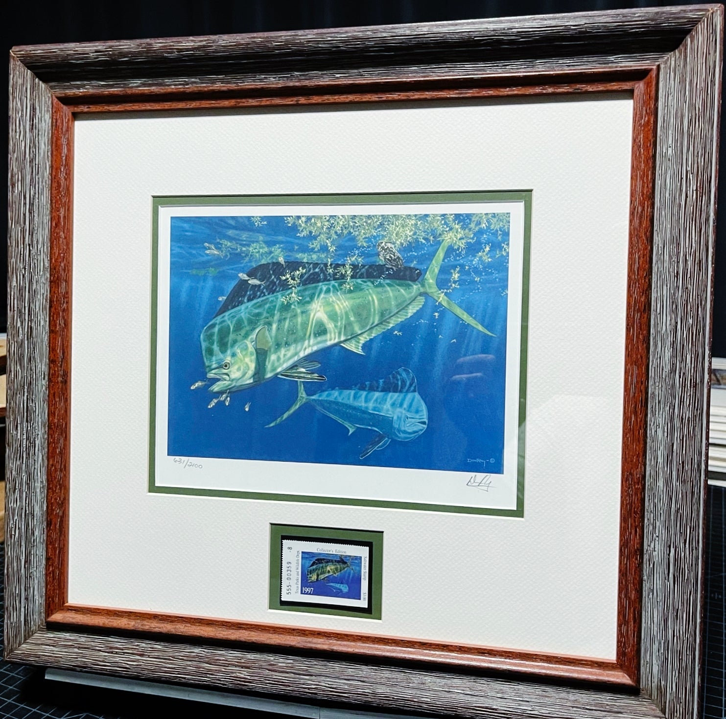 Don Ray 1997 Texas Saltwater Stamp Print With Stamp - Mahi Mahi - Brand New Custom Sporting Frame