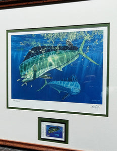 Don Ray 1997 Texas Saltwater Stamp Print With Stamp - Mahi Mahi - Brand New Custom Sporting Frame