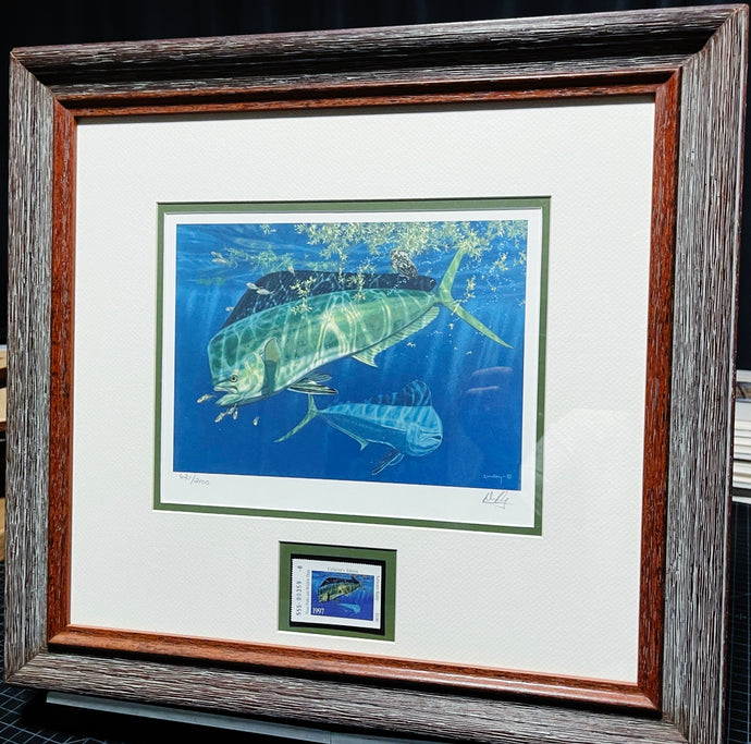 Don Ray 1997 Texas Saltwater Stamp Print With Stamp - Mahi Mahi - Brand New Super Custom Sporting Frame