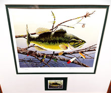 Load image into Gallery viewer, Donald Blakney - 1983 Bass Research Foundation Stamp Print With Stamp - Brand New Custom Sporting Frame
