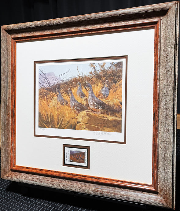 Eldridge Hardie 2007 Texas Upland Game Bird Stamp Print With Stamp - Brand New Super Custom Sporting Frame