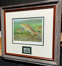 Load image into Gallery viewer, Calvin Carter - 2012 CCA Coastal Conservation Association Stamp Print With Stamp - Brand New Custom Sporting Frame