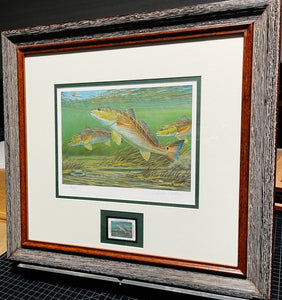 Calvin Carter - 2012 CCA Coastal Conservation Association Stamp Print With Stamp - Brand New Custom Sporting Frame