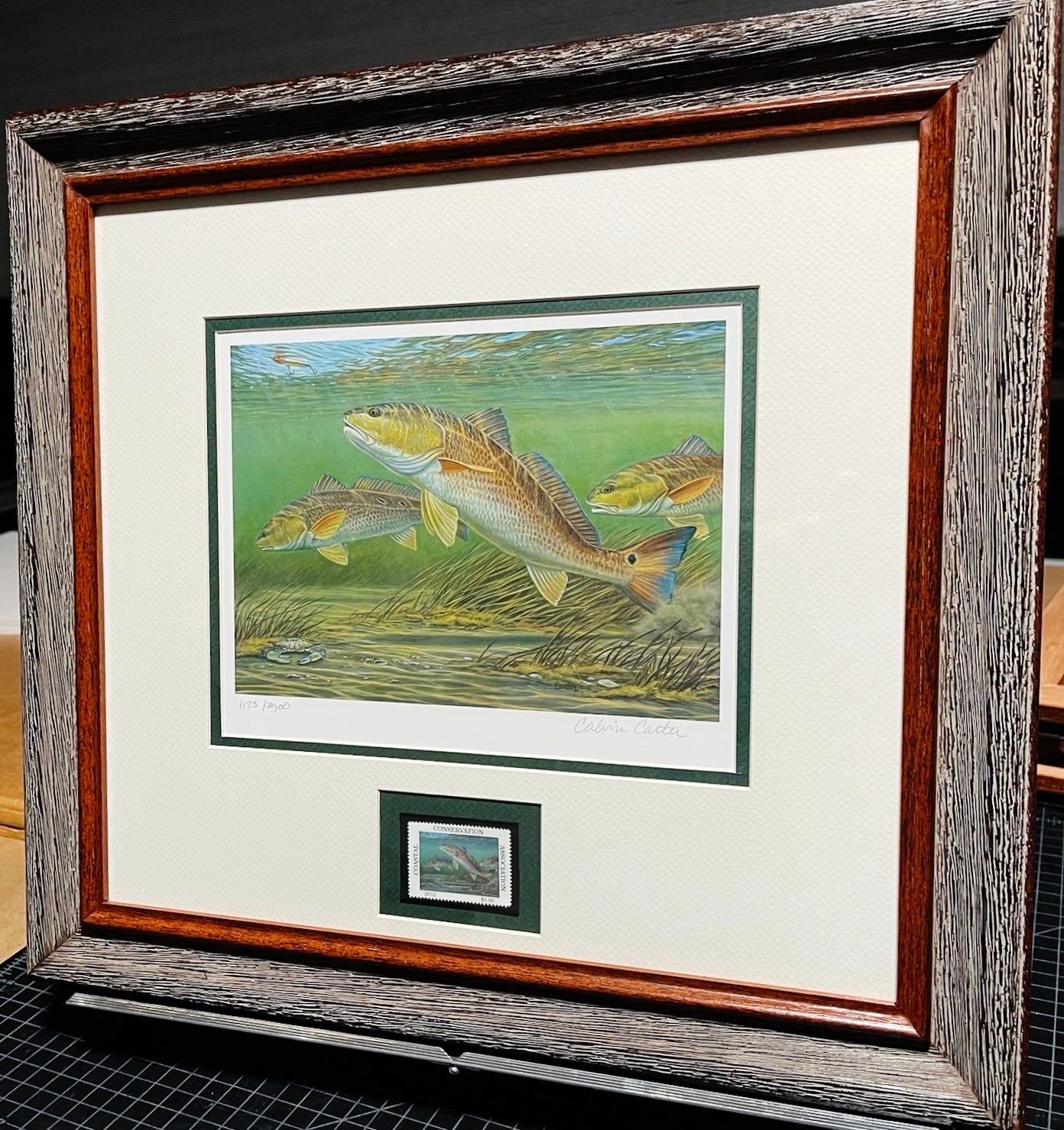 Calvin Carter - 2012 CCA Coastal Conservation Association Stamp Print With Stamp - Brand New Custom Sporting Frame