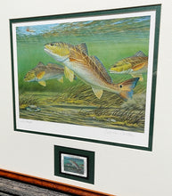Load image into Gallery viewer, Calvin Carter - 2012 CCA Coastal Conservation Association Stamp Print With Stamp - Brand New Custom Sporting Frame
