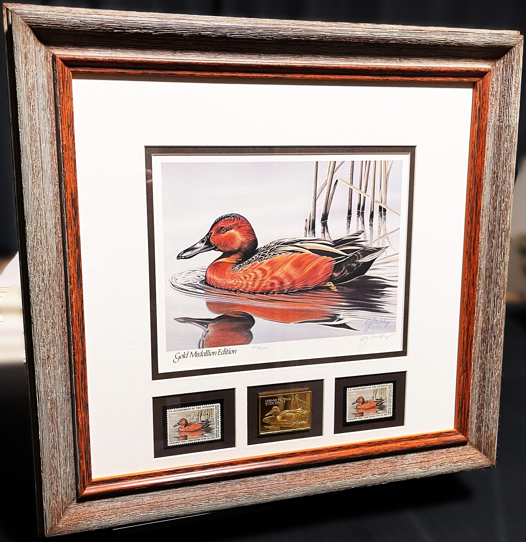 Gerald Mobley 1985 Federal Migratory Duck Stamp Print Gold Medallion Edition With Double Stamps - Brand New Custom Sporting Frame