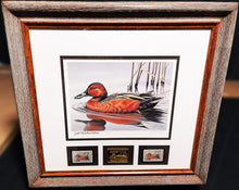 Load image into Gallery viewer, Gerald Mobley 1985 Federal Migratory Duck Stamp Print Gold Medallion Edition With Double Stamps - Brand New Custom Sporting Frame