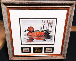 Gerald Mobley 1985 Federal Migratory Duck Stamp Print Gold Medallion Edition With Double Stamps - Brand New Custom Sporting Frame