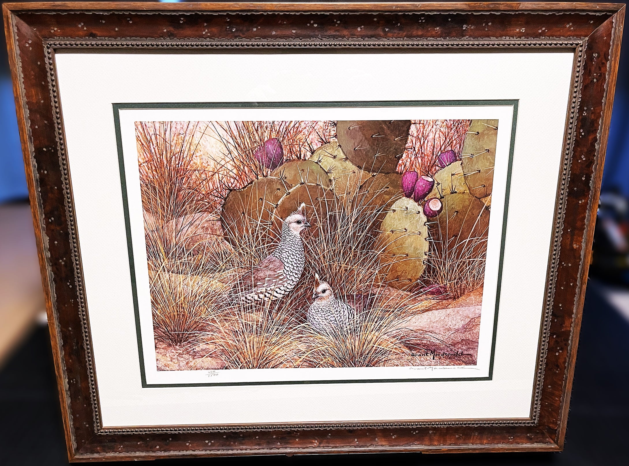 Grant MacDonald Blue Quail Lithograph Year 1979 - Brand New Super Custom Sporting Frame