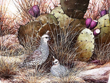Load image into Gallery viewer, Grant MacDonald Blue Quail Lithograph Year 1979 - Brand New Super Custom Sporting Frame