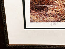 Load image into Gallery viewer, Grant MacDonald Blue Quail Lithograph Year 1979 - Brand New Super Custom Sporting Frame