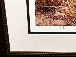 Grant MacDonald Blue Quail Lithograph Year 1979 - Brand New Super Custom Sporting Frame
