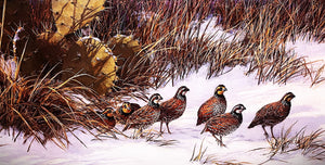 Grant McDonald January Snow Lithograph Year 1983 - Brand New Super Custom Sporting Frame