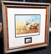 Load image into Gallery viewer, Guy Coheleach 1983 Boone And Crockett Club Stamp Print With Stamp - Brand New Super Custom Sporting Frame