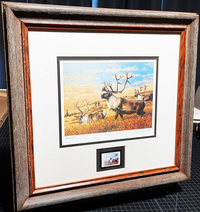 Guy Coheleach - 1983 Boone And Crockett Club Stamp Print With Stamp - Brand New Custom Sporting Frame